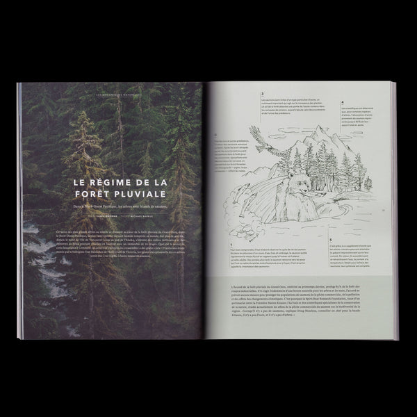 Issue 01 - What's at the heart of our connection with nature?