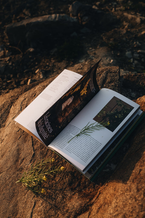 Magazines