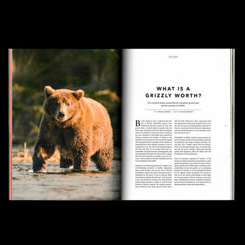Numéro 03  - Quelle est la valeur de la nature?
